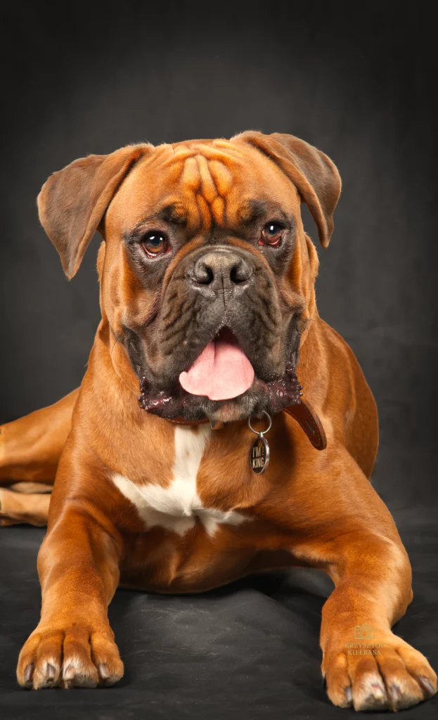 Sesja zdjęciowa w studio Geleen