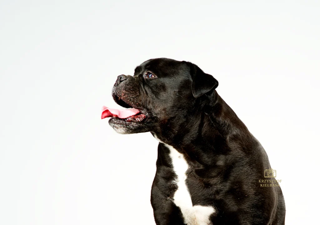 Sesja zdjęciowa w studio Geleen