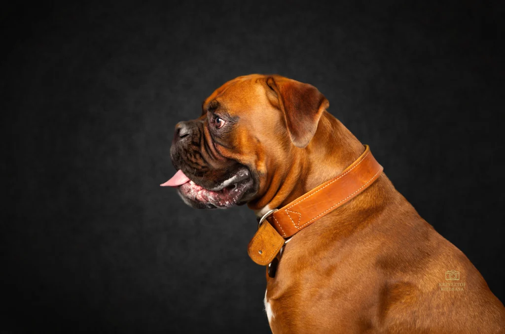 Sesja zdjęciowa w studio Geleen