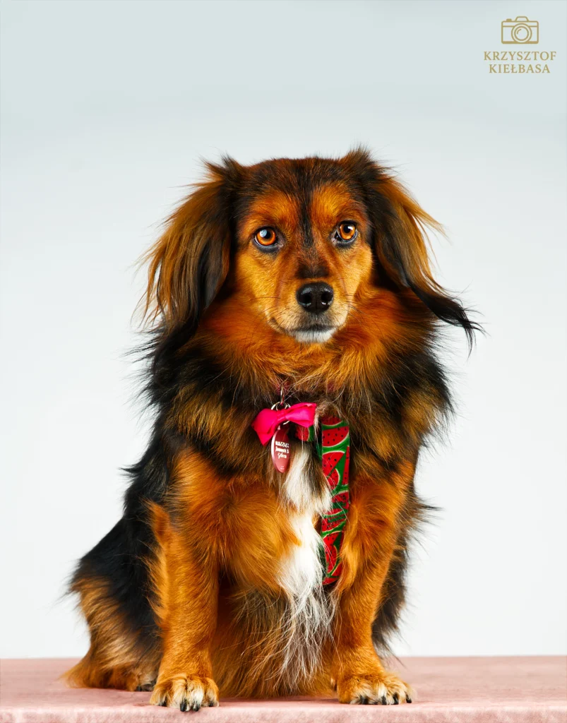 profesjonalna fotografia pupila podczas sesji zdjęciowej