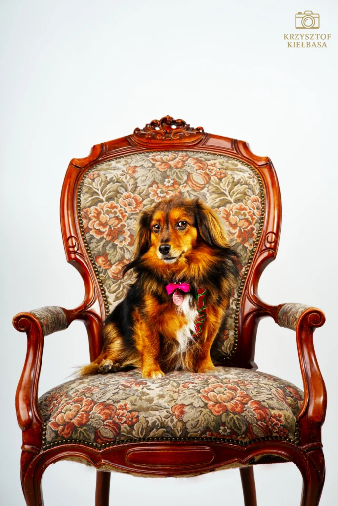 Sesja zdjęciowa studio Geleen Laila królowa